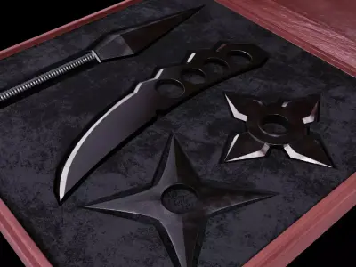 Ninja Tools 3D model
