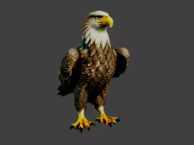Eagle Low-poly 3D model buy