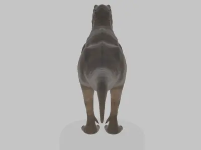 Tyrannosaurus Rex 3D Model 3D model