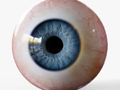 Realistic Human Eye with customizable colors 3D model