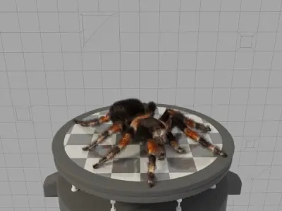 Tarantula spider Low-poly 3D model buy