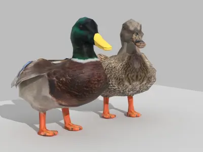 Ducks two Low-poly 3D model