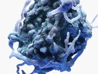 Cancer Cell Mutation 3D model