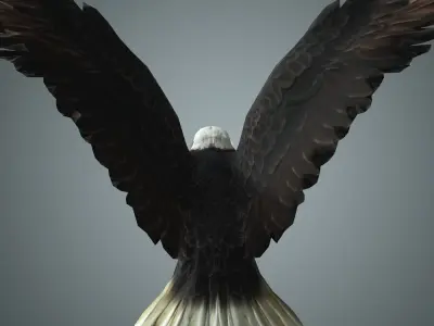 Bird Eagle with animation Low-poly 3D model