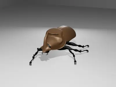 Escarabajo rinoceronte Japones 3D model