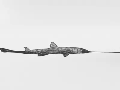 Saw shark Low-poly 3D model