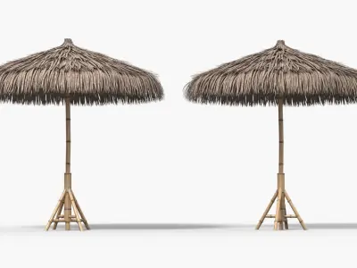 Straw Beach Umbrella with Bamboo Support 3D model