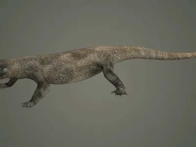 reptile lizard nature dinosaur animal wildlife animals 3D model