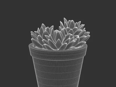  Baby Agave Plant Succulent Potted Plant Model 