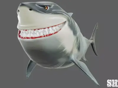 Shark 3D model 6