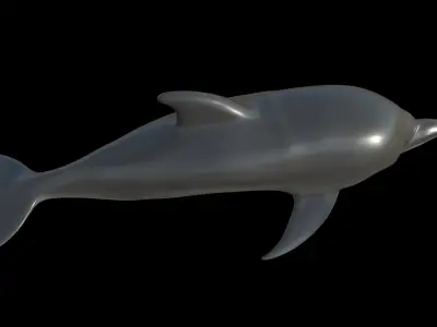 Dolphin fully rigged and low poly Low-poly 3D model