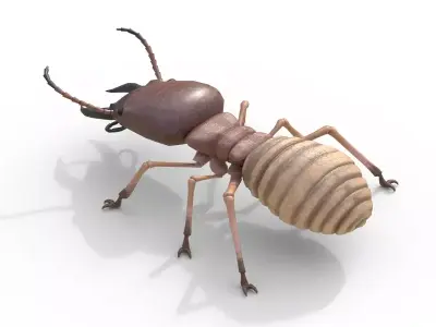 Termite Insect Rigged 3d model Free 3D model