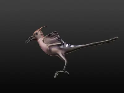 hoopie bird 3D model
