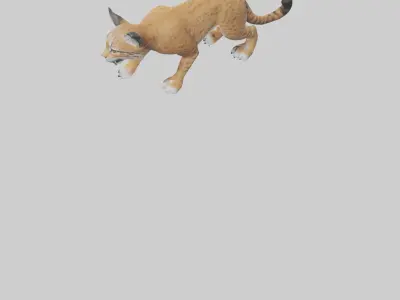 Bobcat hunting model 3D model