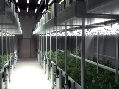 Cannabis Productions Facility 3D model