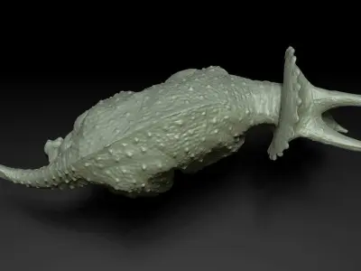 Triceratops Free 3D print model