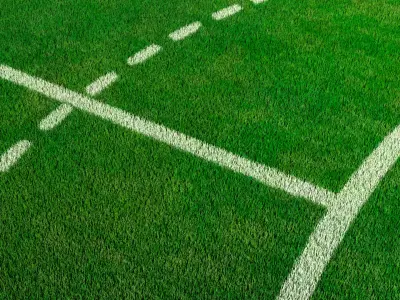  Handball Court Field with Two Goals Green Fur 