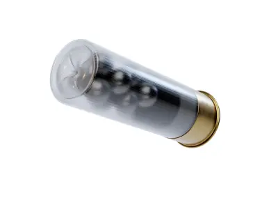 12 ga Buckshot 3D model