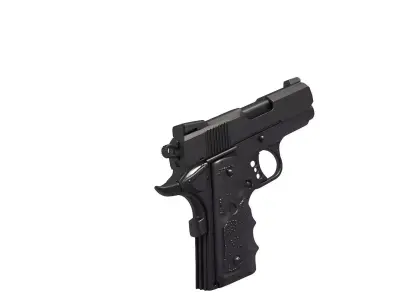 Colt Defender 3D print model