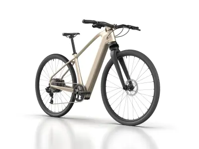 ELECTRIC CITY BIKE ACTUAL DIMENSION 3D model