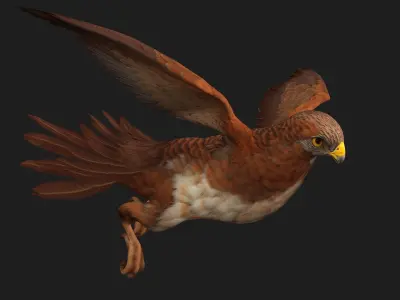 Kestrel B1 3D model