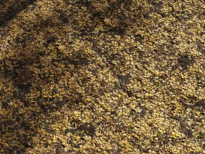 Autumn leaves Texture Free 3D model