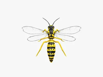 Wasp Hornet Low-poly 3D model