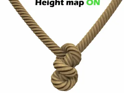 Rope Knot 3D model purchase