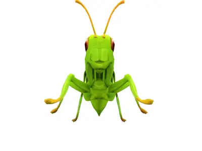 Grasshopper Green Realistic Low-poly 3D model