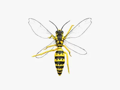 Wasp Hornet Low-poly 3D model