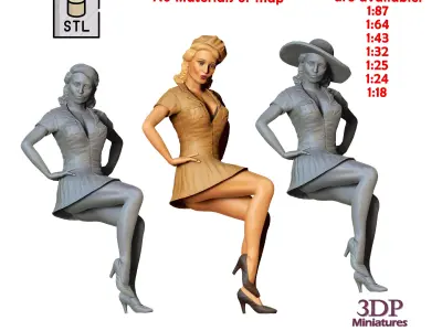 N6 Pin-up girl 3D print model