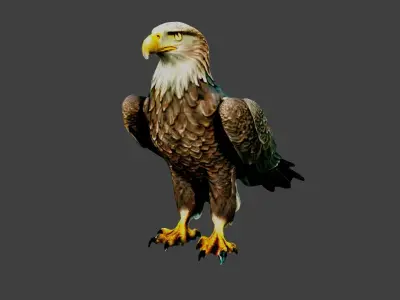 Eagle Low-poly 3D model buy