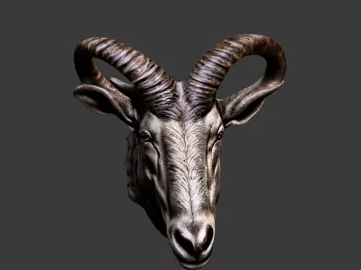 Deer Animal Head Low-poly 3D model 8