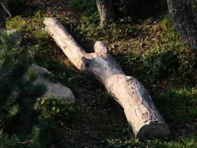  Large Split Bare Log Model 