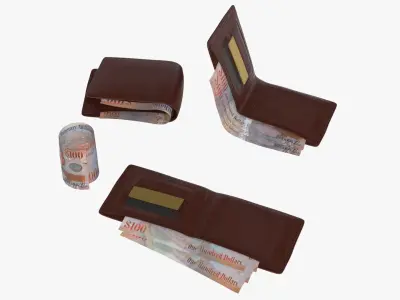 Cayman Islands British 100 Dollar Wallet Money Purse 3D model