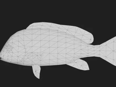Snapper Low-poly 3D model 15