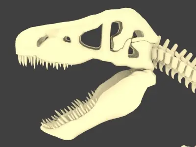 Tyrannosaurus Rex or T-Rex Dinosaur Skeleton Low-poly 3D model