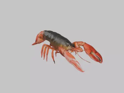 Lobster Low-poly 3D model purchase