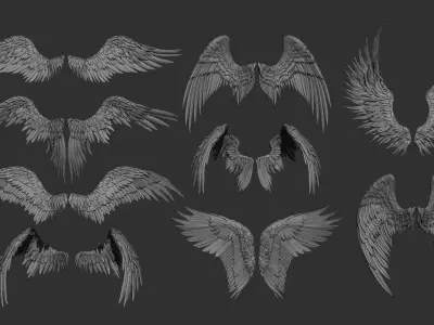 11 Wings 3D model purchase