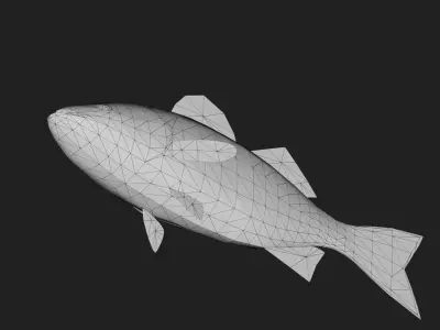 Stripedbass Low-poly 3D model