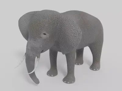 3D Elephant Model with tusks Low-poly 3D model
