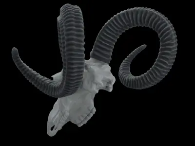 Ram Skull HighPoly Free 3D model