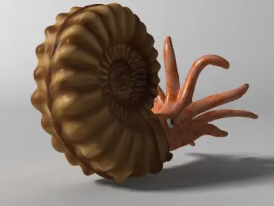 Ammonite with complete underwater scene Low-poly 3D model