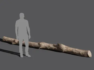  Long Bare Cut Log Model 