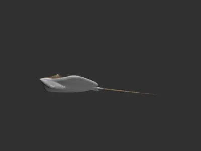 Cownose stingry 3D model