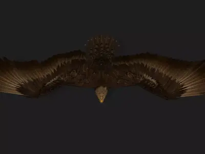 Eagle V3E Free 3D model