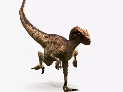 Velociraptor Low-poly 3D model purchase