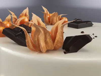 Chocolate Garnished Cake with Physalis 3D model