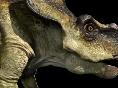 Protoceratops 3D (Rigged) 3D model