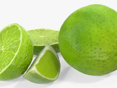 Lime Collection 3D model